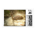 Deer postage stamp by Sladochka Deer postage stamp