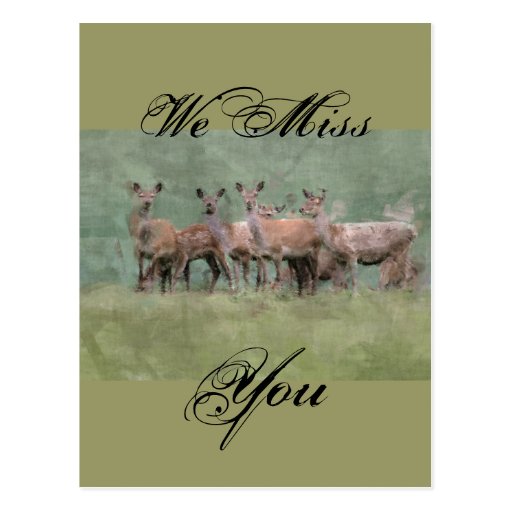 Deer Postcard