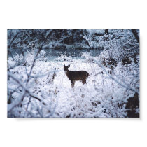 deer posters by ladypeace deer posters