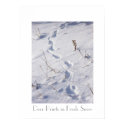 Deer Prints Snow Poster