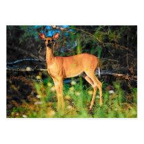 Deer Profile Card Business Card Templates