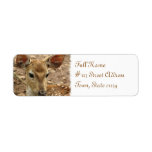 Deer Return Address Label