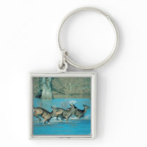 Deer running in water keychains