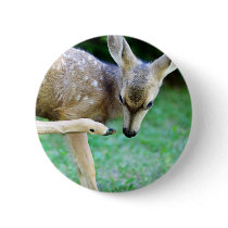 Deer - Scratch that Itch Pinback Button