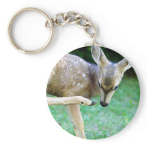 Deer - Scratch that Itch Key Chain