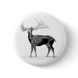 Deer skeleton buttons