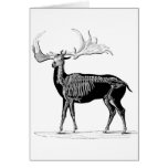 Deer skeleton greeting card