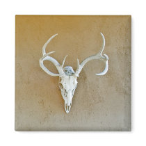 Deer Skull Magnet by JaguarPhotos Deer Skull Magnet