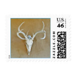 Deer Skull