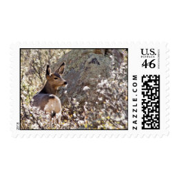 Deer stamp stamp