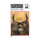 deer stamps