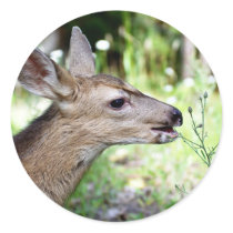 Deer Sticker