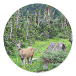 Deer stickers