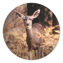 Deer sticker