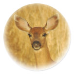 Deer Stickers
