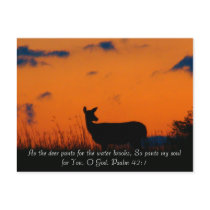 Deer Sunset postcards by MAPASUE Deer Sunset postcards