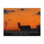 Deer Sunset postcards