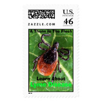 deer-tick postage by LindseyDolan deer-tick postage