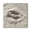 Deer track magnets