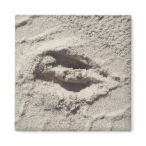Deer track magnets by lissame73 Deer track magnets