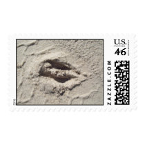 deer track stamp