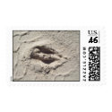 deer track postage