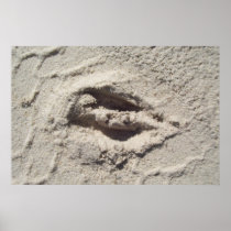 Deer track posters