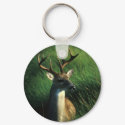 Deer / White Tailed Buck keychains