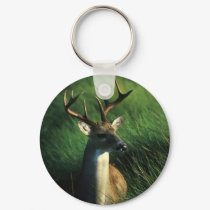 Deer / White Tailed Buck keychains by moxieann Deer / White Tailed Buck keychains