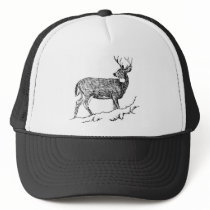 Deer / White -Tailed / Odocolileus virginian calvi hats