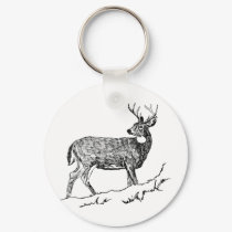 Deer / White -Tailed / Odocolileus virginian calvi keychains by moxieann Deer / White -Tailed / Odocolileus virginian calvi keychains