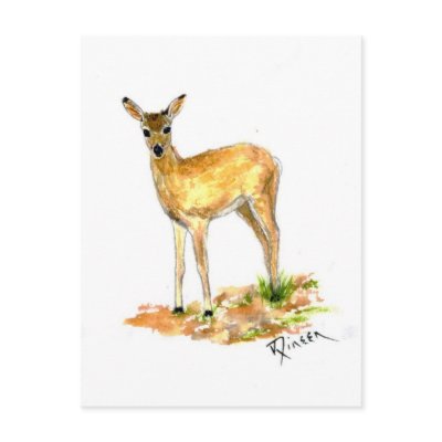 Deer Wildlife postcard by Critterpainter