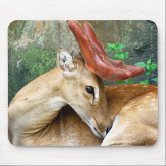 Deer with Felt Antlers Mousepad mousepad