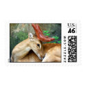 Deer with Felt Antlers postage by TeeShirtsTShirts Deer with Felt Antlers postage