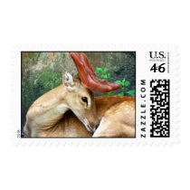 Deer with Felt Antlers postage