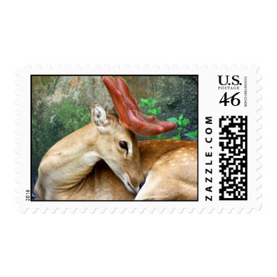 Deer with Felt Antlers Postage Stamps by TeeShirtsTShirts