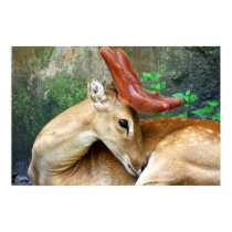 Deer with Felt Antlers Poster posters