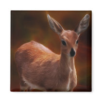 Deer you are tiny magnets
