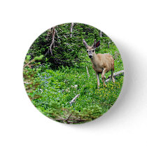 Deer - Young Buck Pinback Buttons