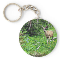 Deer - Young Buck Keychains