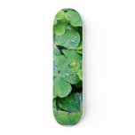 Deerpark Ireland Clover Dew Drops Skate Board Deck