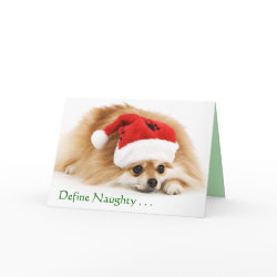 Define Naughty Christmas card card