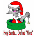 Define Nice Christmas Cat t-shirts