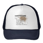 Define Santorum Mesh Hats