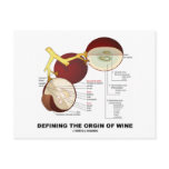 Defining The Origin Of Wine (Wine Grape Berry) Post Cards