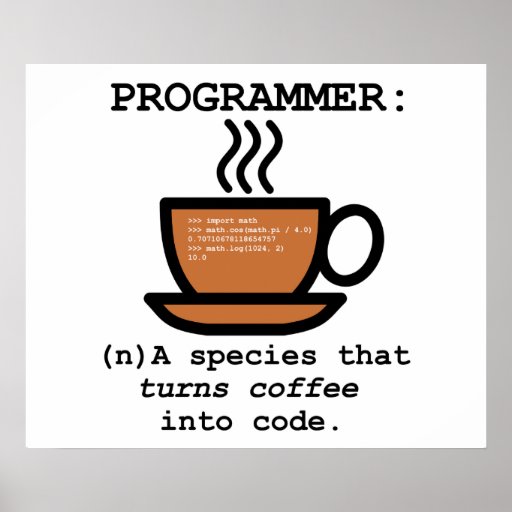 Definition of a Computer Programmer Geek Poster Zazzle
