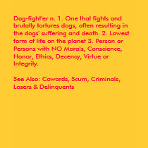Definition of a Dog Fighter Ladies Shirt