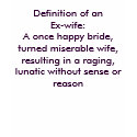 Definition of an Ex-wife:  A once happy bride, ... t-shirts