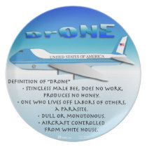 Definition of Drone plates