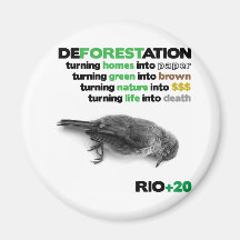 Deforestation Rio +20 Magnet
